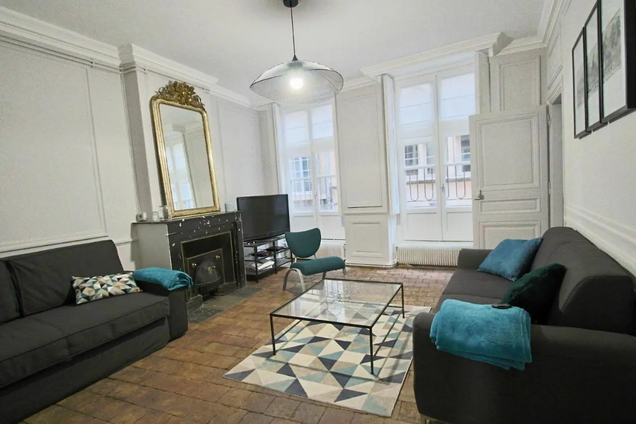 شقة Appartement Saint Jean ليون فرنسا